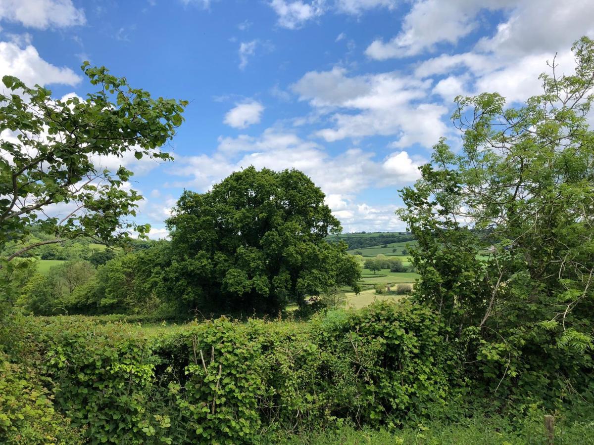 The Shepherds Hut At The Shippen, Tiphayes Honiton Exterior foto